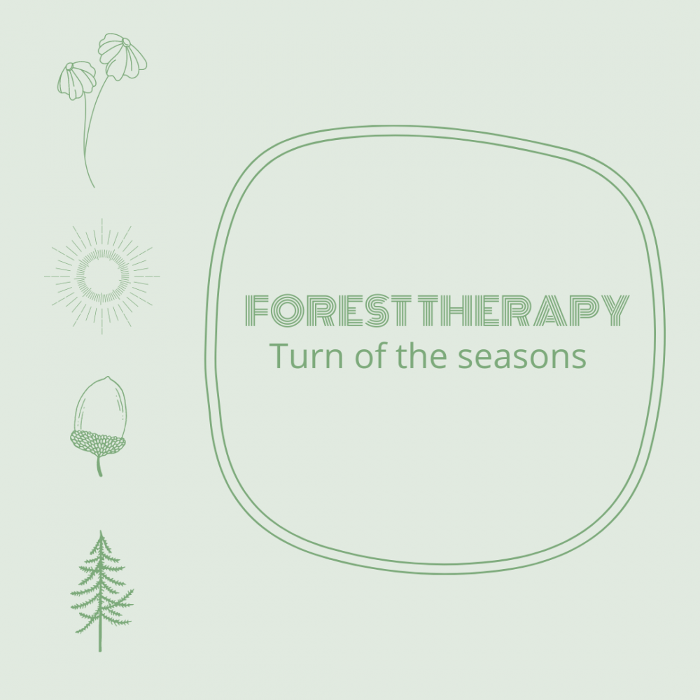 Forest therapy - Turn of the seasons - Spring image