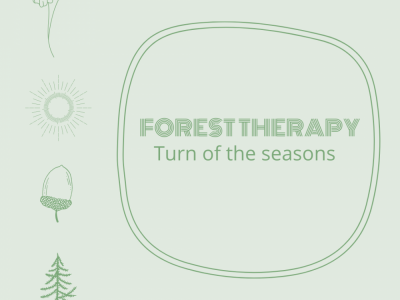 Forest therapy - Turn of the seasons - Spring image
