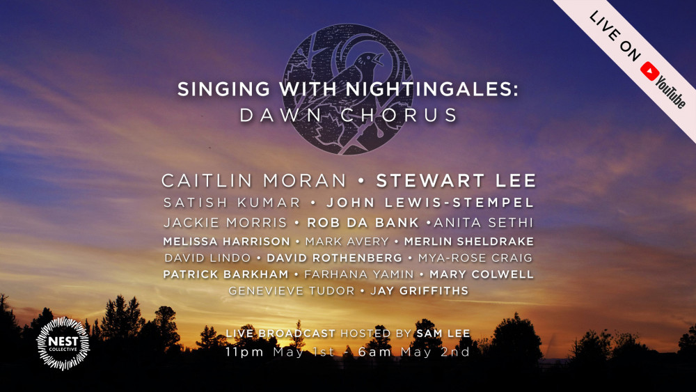 Singing With Nightingales: Dawn Chorus image