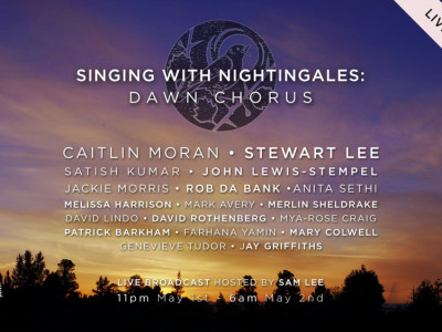Singing With Nightingales: Dawn Chorus image