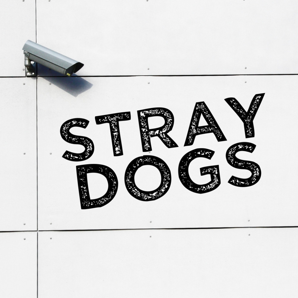 Stray Dogs image