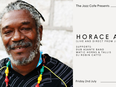 Horace Andy image