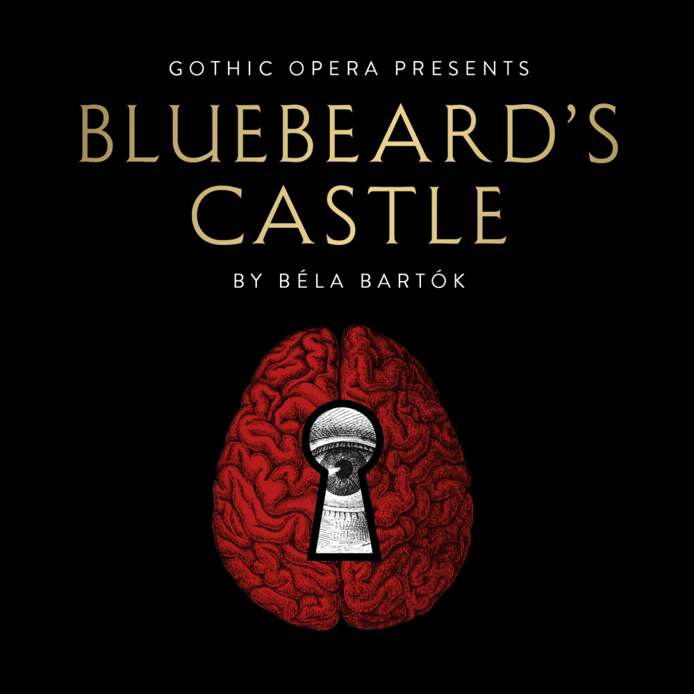 Bluebeard's Castle image