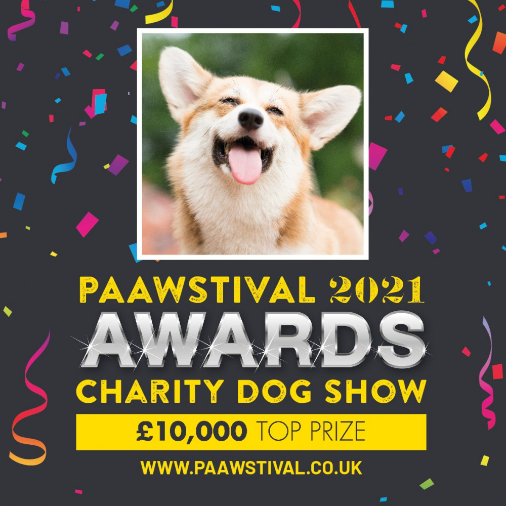 The PAAWstival Awards - An online CHARITY dog show with a DIFFERENCE! image
