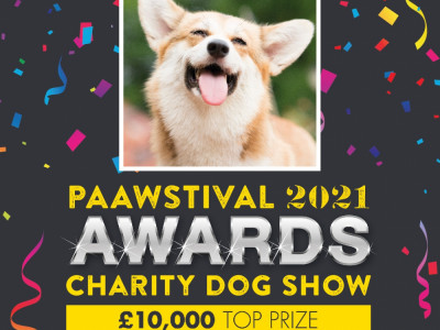 The PAAWstival Awards - An online CHARITY dog show with a DIFFERENCE! image