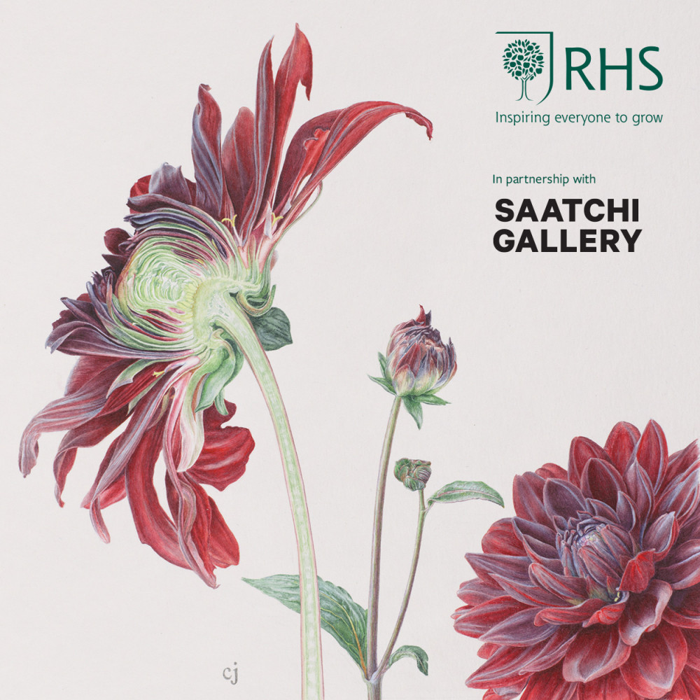 RHS Botanical Art & Photography Show 2021 image