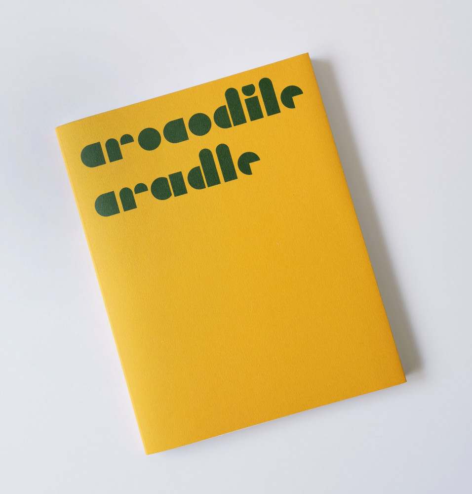 Crocodile Cradle – Book Launch image