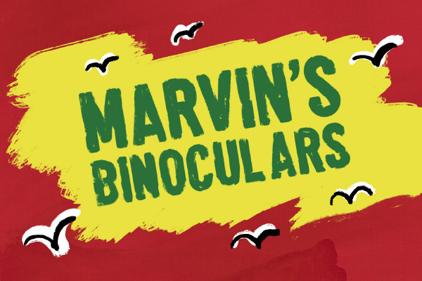 Marvin's Binoculars - Digital image