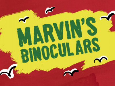 Marvin's Binoculars - Digital image