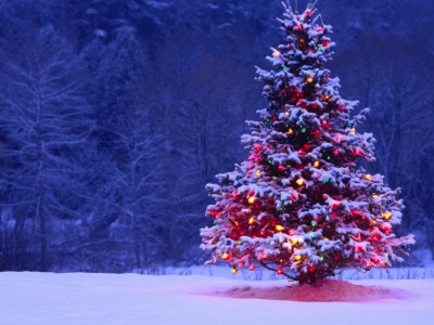 London Choral Sinfonia: Christmas Fantasia image