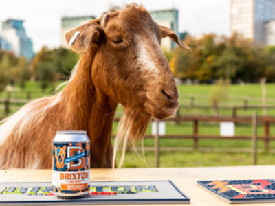 Pay by Neigh at Brixton Brewery Taproom image