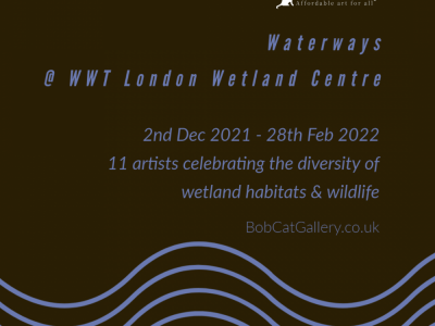 'Waterways' at the WWT London Wetland Centre image