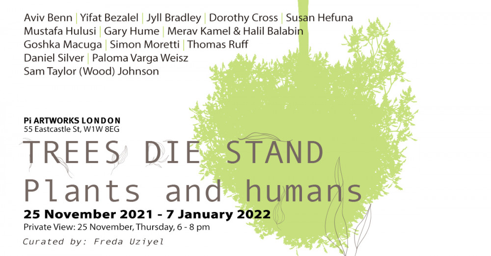 Tress Die Stand: Plants and humans curated by Freda Uziyel image