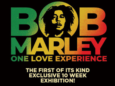 Bob Marley One Love Experience image