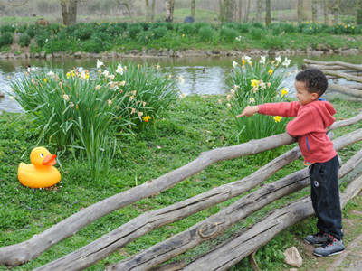 Easter Duck Trail image