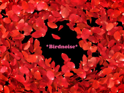 *Birdnoise* R&B Special image