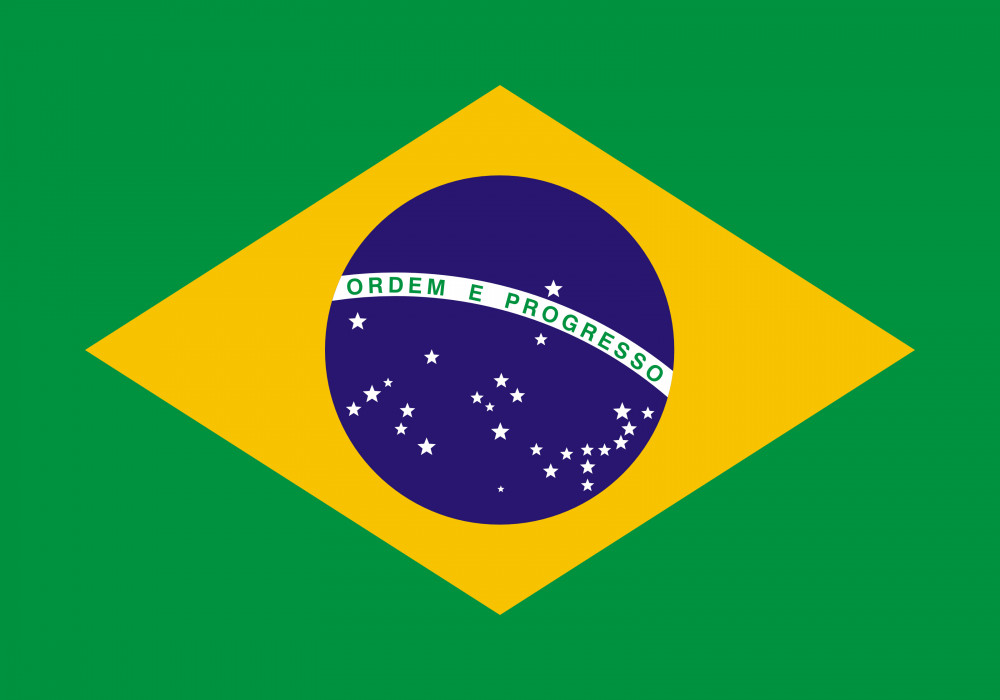 Brazilian-Portuguese Course. Advanced Level. May-July 2022 image
