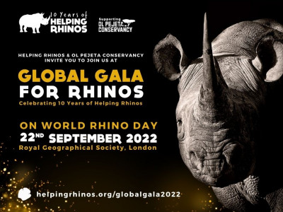 Global Gala for Rhinos image