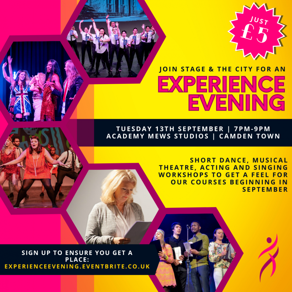 Stage & the City Performing Arts Experience Evening image
