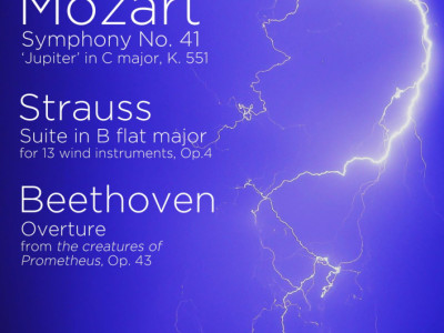 Mozart, Strauss and Beethoven image