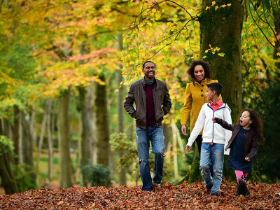 October half-term: Autumn family wander (7+) image
