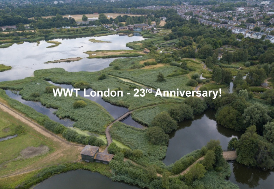 WWT London Anniversary image