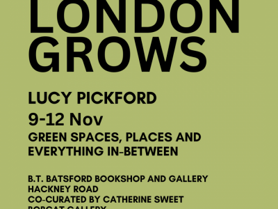 London Grows: Lucy Pickford Solo Show image