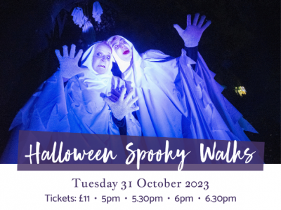 Halloween Spooky Walks at Lauderdale House image