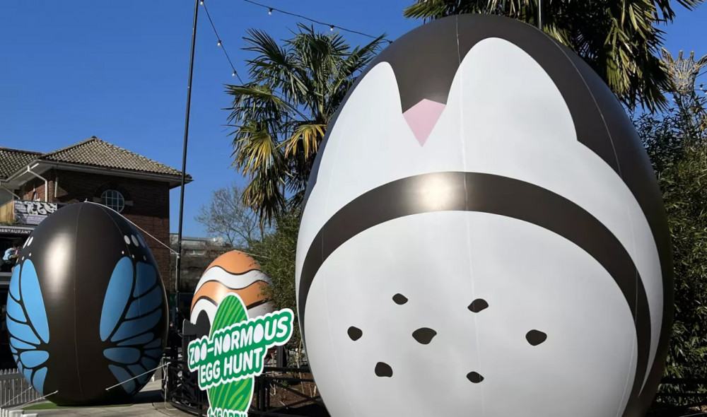 London Zoo's Zoonormous Egg Hunt image