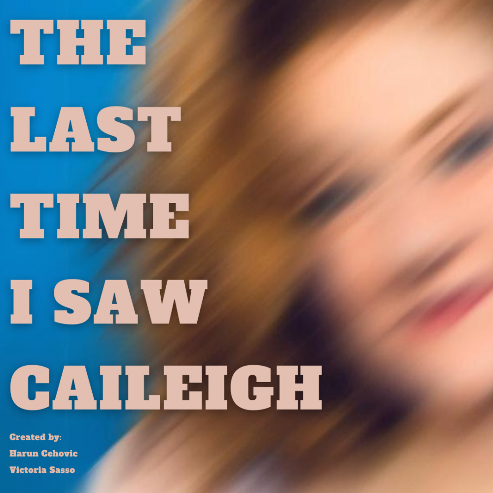 The Last Time I Saw Caileigh image
