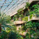Visit a tropical oasis inside a conservatory picture