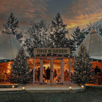 Parson's Green Christmas Alpine Pop Up picture