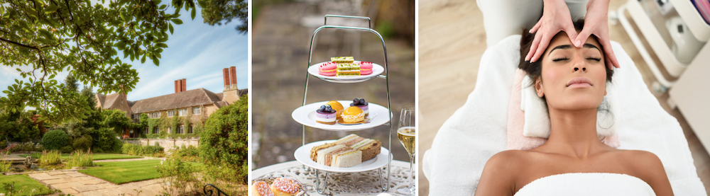 THE VEGAN ESCAPE THAT'S NOT JUST FOR JANUARY image